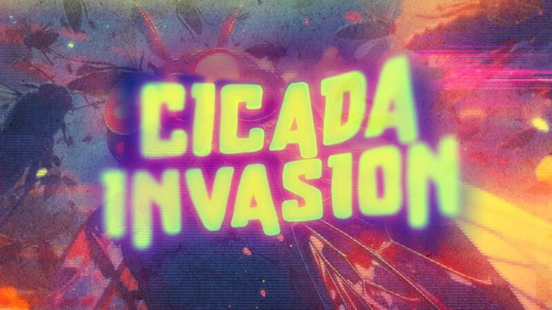 Cicada Invasion